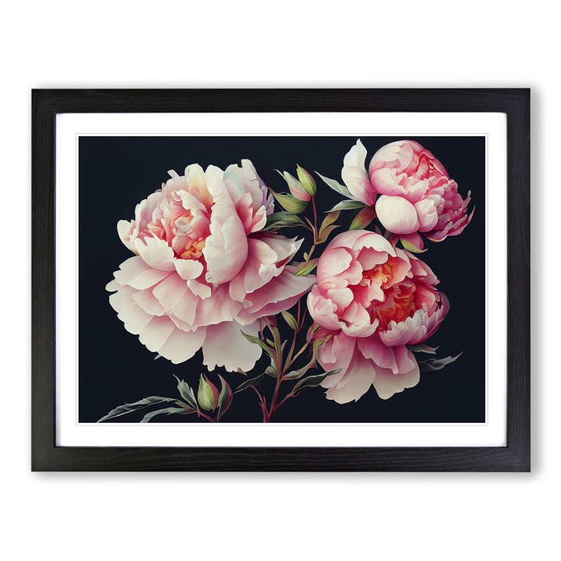 Watercolour Peony Flowers Vol.2 - Single Picture Frame Painting, Black, 34cm H x 46cm W x 2cm D