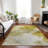 Khloei Washable Abstract Indoor / Outdoor Rug-1353209850