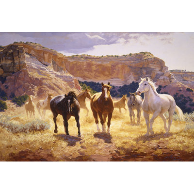 Canyon Canyon