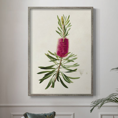 Pretty Pink Botanicals VII Framed Print - Solid Wood