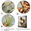 Épinette, pin, forêt III - Art mural pin-1322621759-1322621758