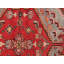 Oriental Area Rug in Rust