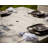 POLYWOOD Park 6 - Person Patio Dining Set with Square Table , Cushions Included-16839173-16839182-22490654