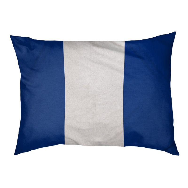 Coussin pour chien hockey Las Vegas, Petit (l 28 po x P 18 po x H 9,5 po), Bleu royal / blanc / bleu royal