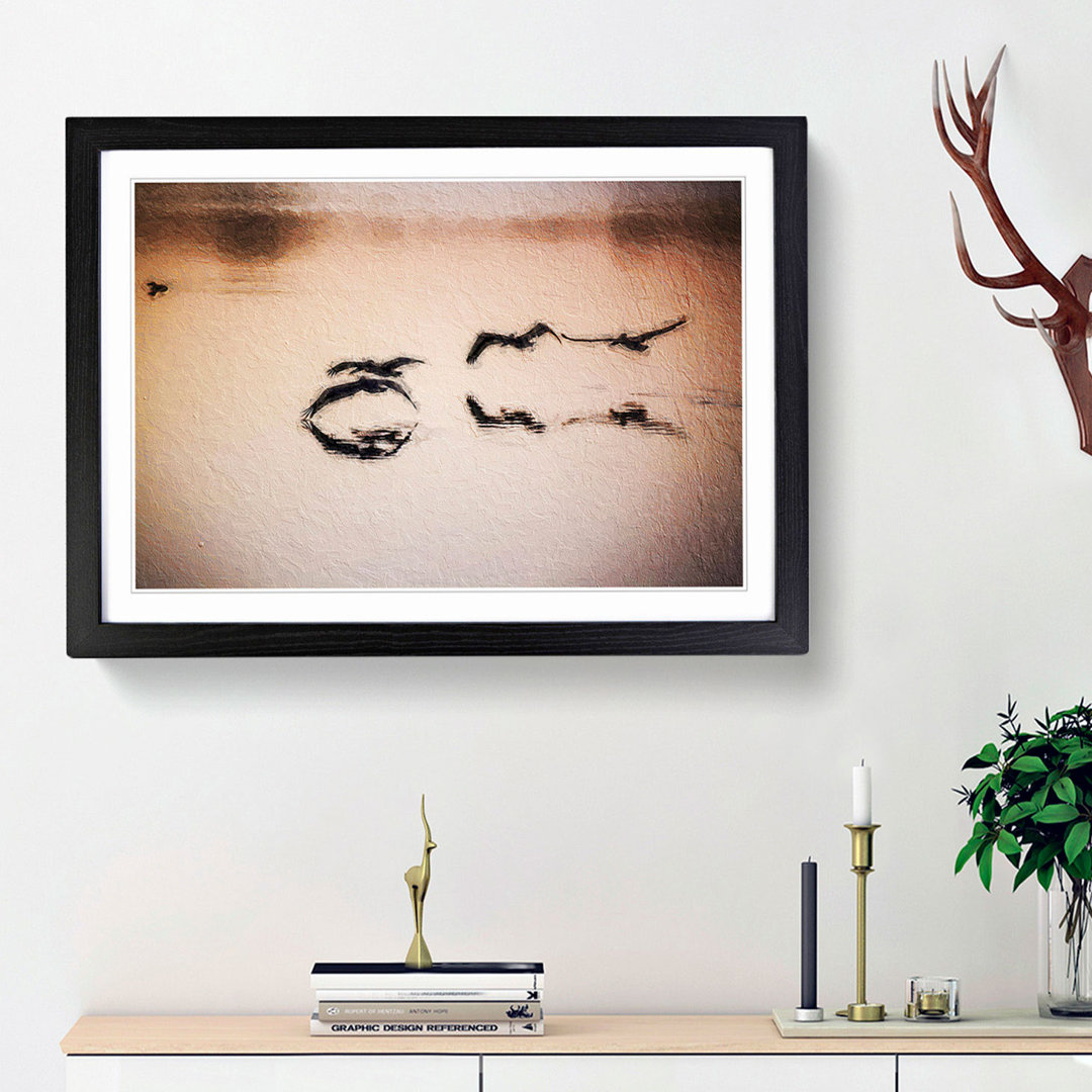 A Flock of Pelicans - Framed Print
