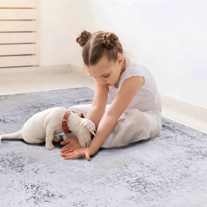 2X3 Area Rugs, Machine Washable, Low-Pile, Non-Slip, Foldable, Enhances Ambiance Of Living Room - Gray Washable Rug 2X3, Adds Warmth To Bedroom, Room, Kitchen