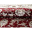 Walton Oriental Area Rug
