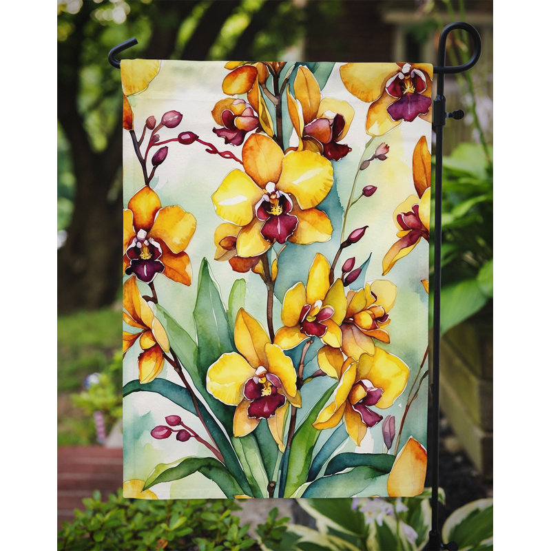 Orchidées paphiopedilum, drapeau du jardin, Orchidées Oncidium