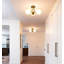 Plafonnier semi-encastré 3 lumières Globe-713480101