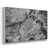 White Floater Framed Canvas is unavailable