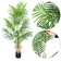 Adcock 2 Artificial Palm in Pot Set, Faux Green Palm Plant, Fake Palm Tree for Home Decor