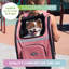 Pet Pet The Backpacker Pet Carrier - Glacier
