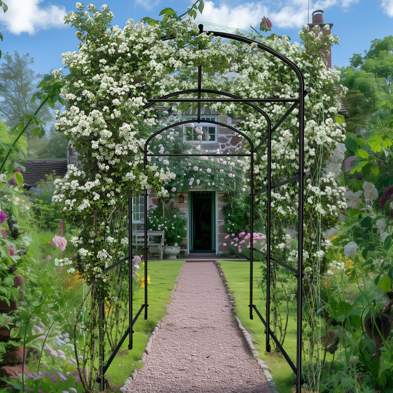 222cm H x 120cm W Metal Arched Trellis