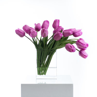 Vraie tulipe hollandaise dans un vase