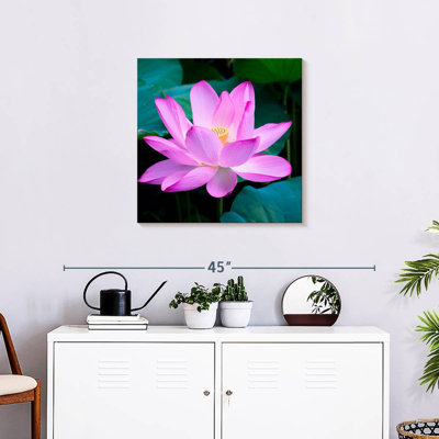 Fleur de lotus Harnek