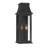 Talburn 18" High 2-Light Lantern