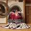 Tapis Midas Touch-980024740