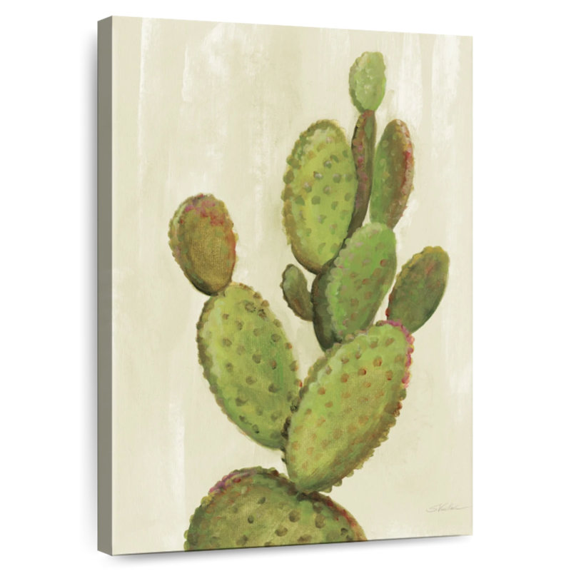 Cactus de cour avant Harnek I, H 12 po x l 8 po