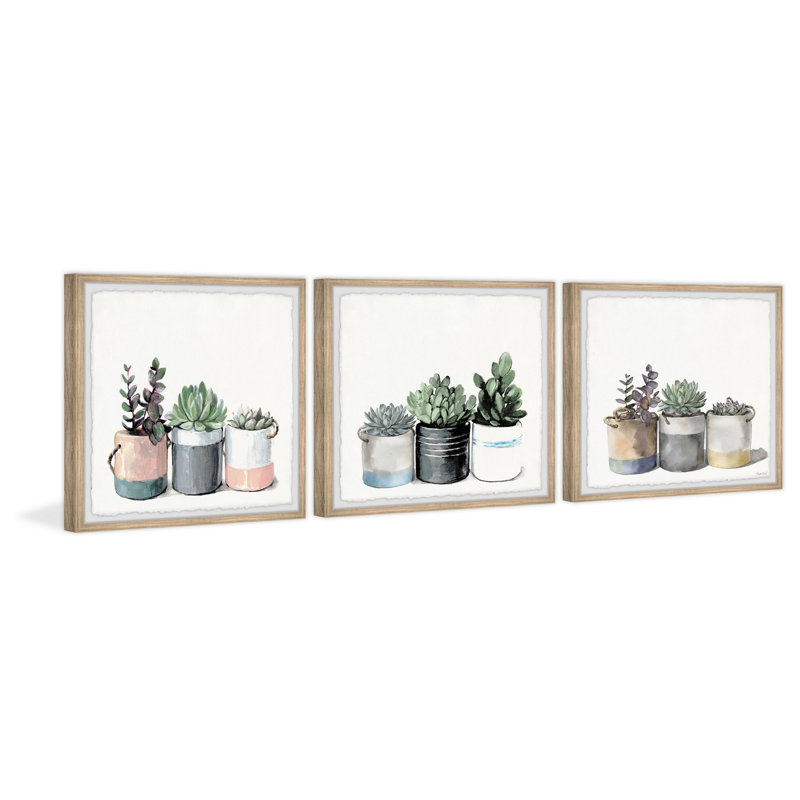 « cacti collection »-ensemble de 3 reproductions de photos encadrées sur papier, H 12 po x l 12 po x P 1,5 po, Brun