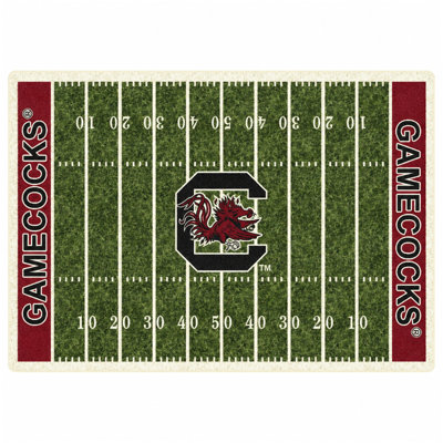 Indoor Rug