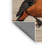 Washable Common Redstart Birds Area Rug-1543894493