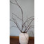 Branche de saule torsadé 44 po