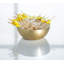 Choix de cocktail 100 pièces citrons