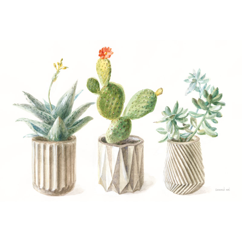 Desert Greenhouse IX by Danhui Nai - Wrapped Canvas Painting, 20cm H x 30cm W x 3.8cm D