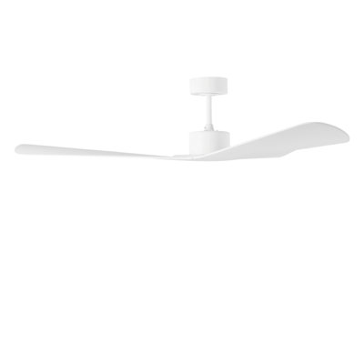Smart 57 Ceiling Fan