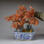 Genuine Carnelian Gemstone Bonsai Tree in Square Ceramic Pot (15")