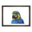 Blue & Yellow Macaw Parrot Painting 1 Piece Single Picture Frame Wall Art on MDF-56633846-56633849