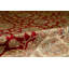 Wool Oriental Area Rug