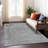 Machine Washable Indoor/Outdoor Claudian ACN1645 Gray Rug-109535348