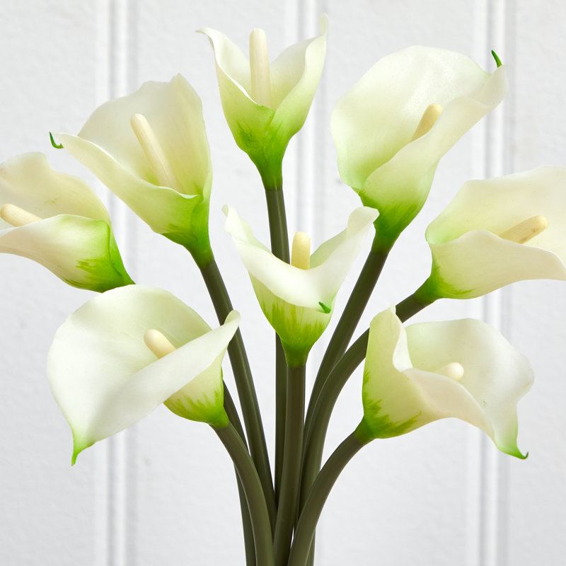 Arrangement floral de lys Calla dans un vase, Crème