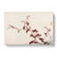 Dragonfly by Kono Bairei - Wrapped Canvas-55314679