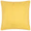 Fruits Indoor / Outdoor Abstract Square Throw Cushion-123036663