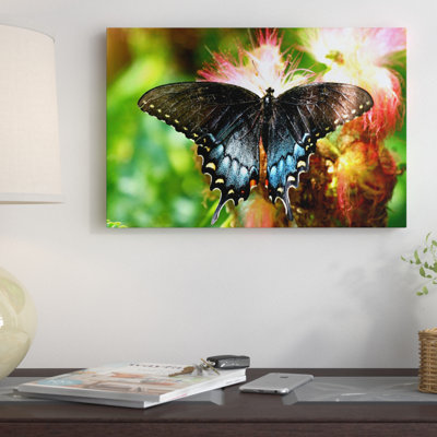 " Swallowtail Butterfly " by Unknown Artist