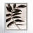 Leaves II - Floater Frame Canvas-70183988-70184037