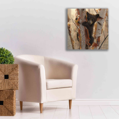 «Curious Cub II» par Collin Bogle, art mural sur toile