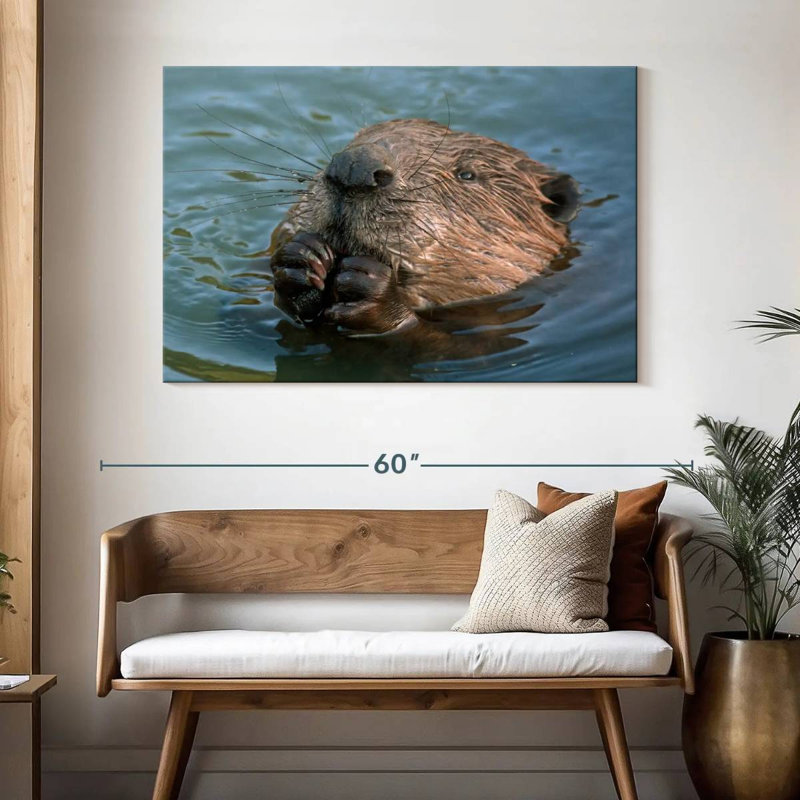 Brampt Beaver In The Water, 32'' H x 48'' W