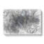 Plant Leaves In Abstract - Wrapped Canvas-1159778412