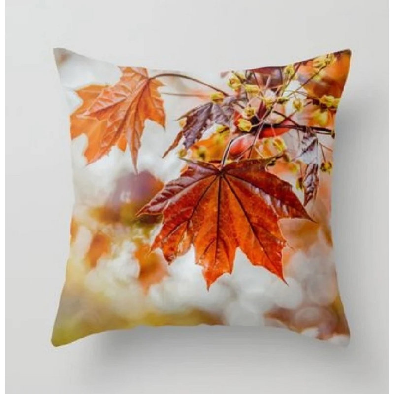 Montel Indoor / Outdoor Square Scatter Cushion