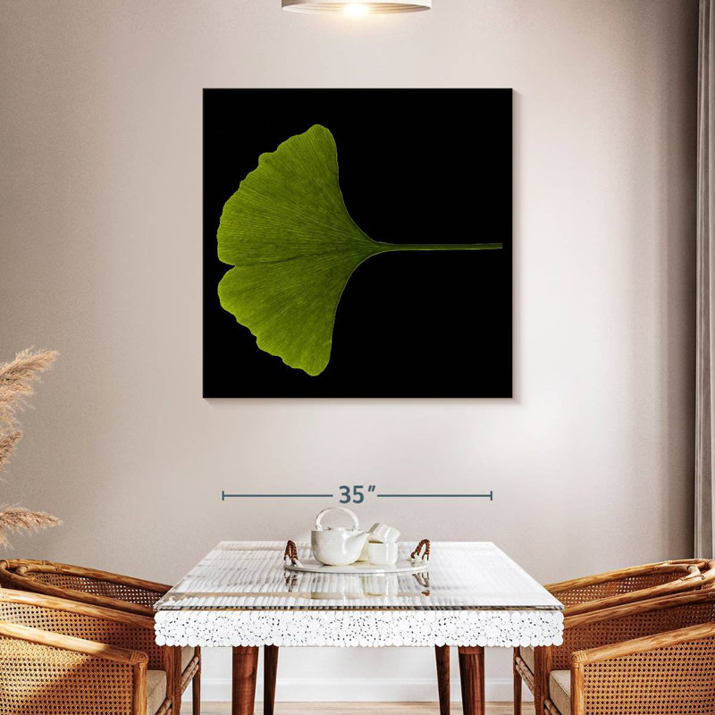 Feuille de ginkgo Harnek en gros plan