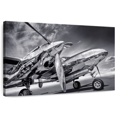 Mehar Monochrome Silver Plane