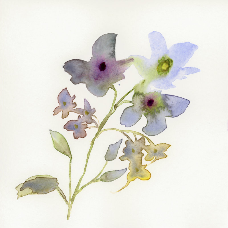 «Blossoms And Roots VII» sur toile par Marabeth Quin, H 12 po x l 12 po