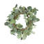Ensemble de 2, bougie anneau d'eucalyptus vert D14,2 "
