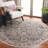 Ronard Performance Oriental Rug-1492367498