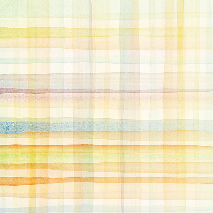 Joleesa 2.5m x 1.04m Matte Mural, 250 x 104cm