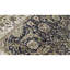 Wool Oriental Area Rug