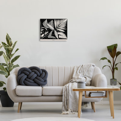 Fougères superposées sur toile noire, design par Phillipa Katz